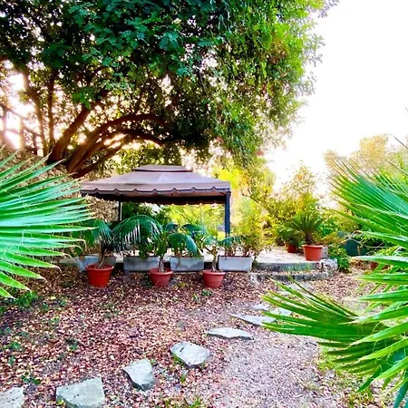 Noemi Villa *